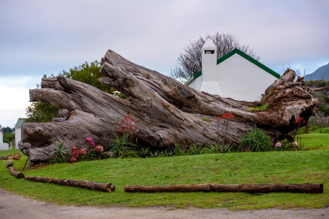 Honeyrock Cottages Kleinmond Exterior foto
